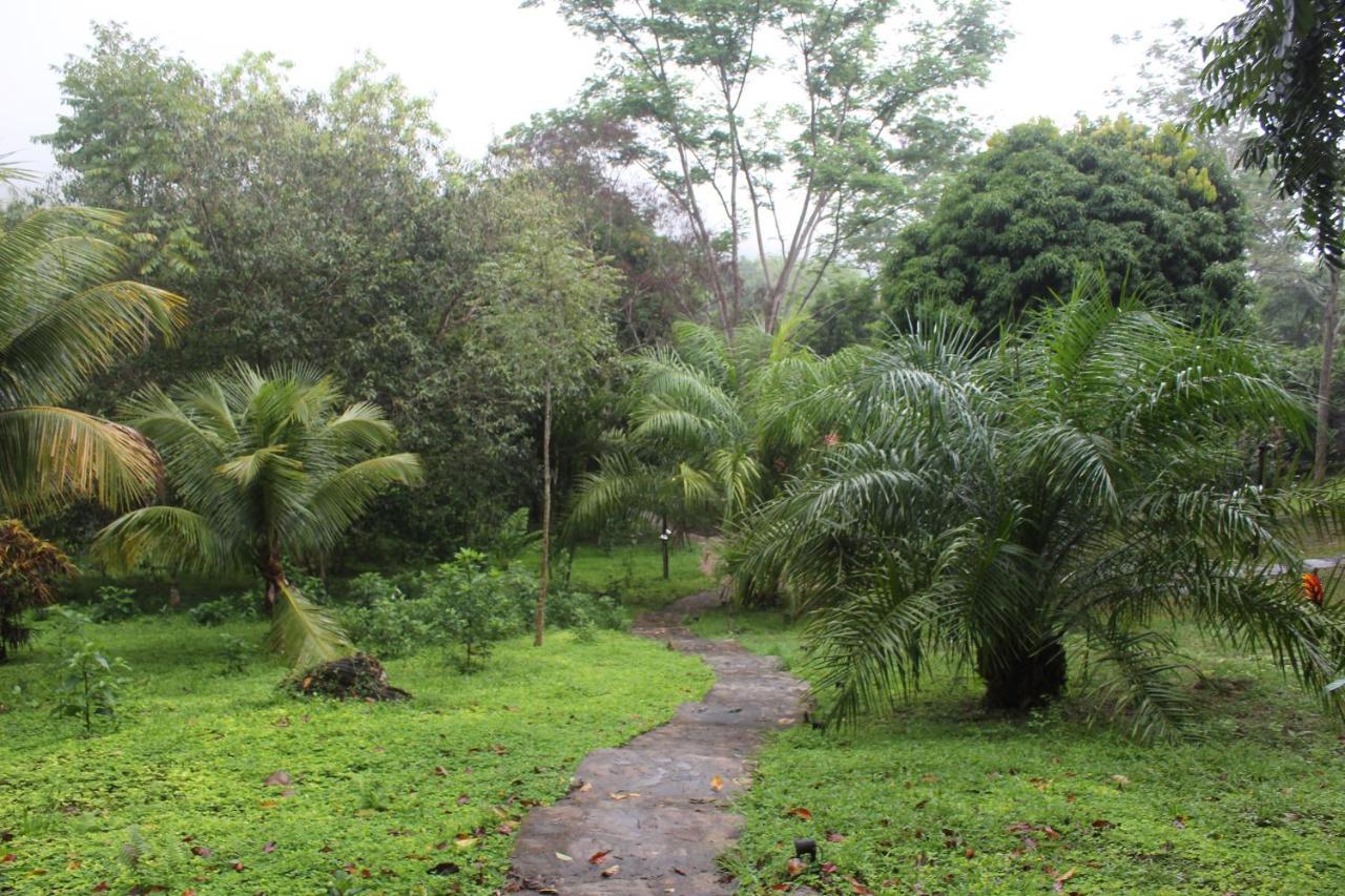 Cordillera Escalera Lodge Tarapoto Kültér fotó