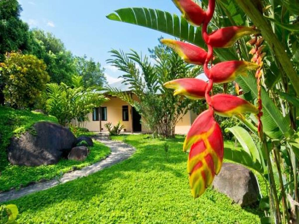 Cordillera Escalera Lodge Tarapoto Kültér fotó